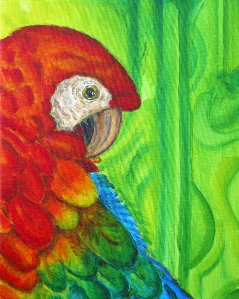 Yet Another Red Parrot