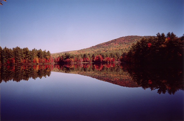 Perfect Autumn Mirror