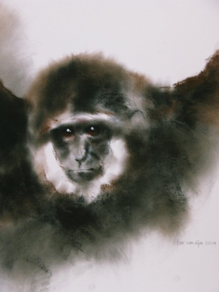 gibbon
