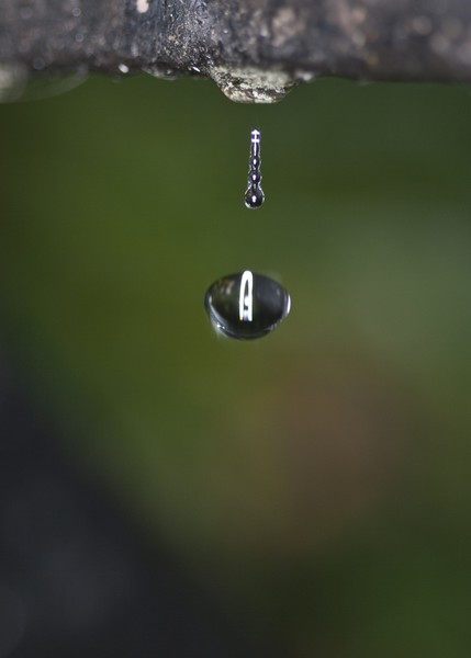 Dripper.
