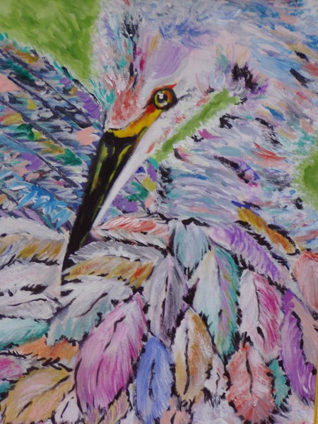 Feathers