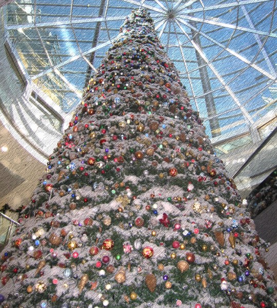 Christmas Tree Abu Dhabi