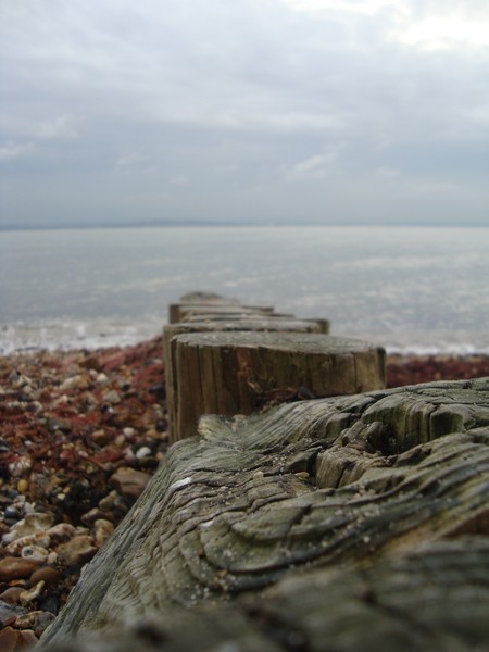 In To The Sea