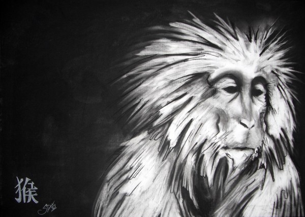 YEAR OF THE MONKEY