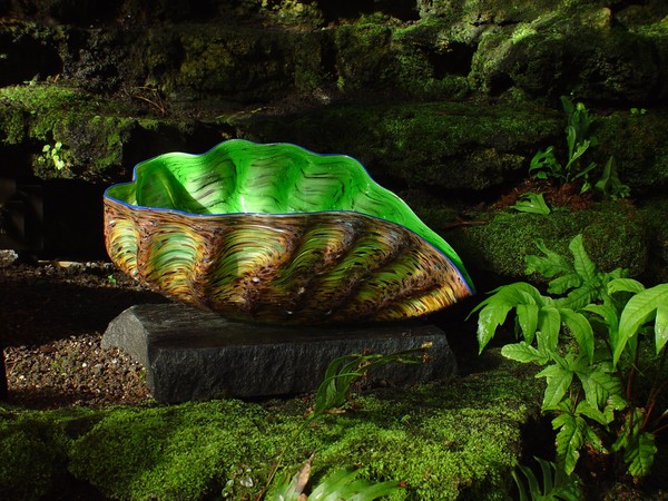 Chihuly Shell