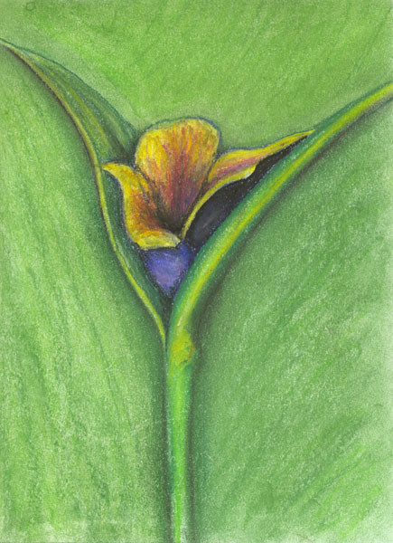 Pastel Flower