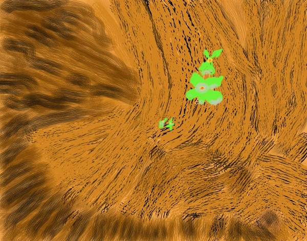 O356 growth on a stump
