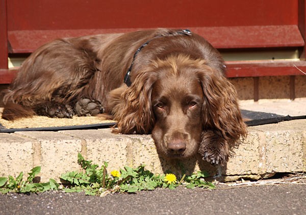After the Walk