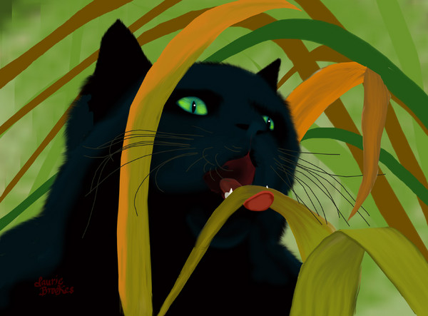 Weed Eater