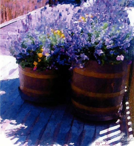 Barrels of Blue