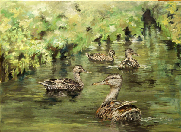 On the stream
