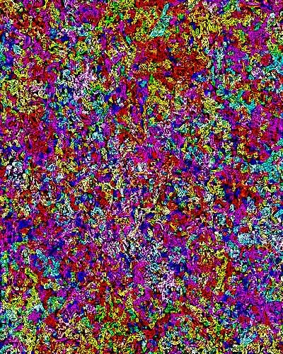 Thought and Feeling