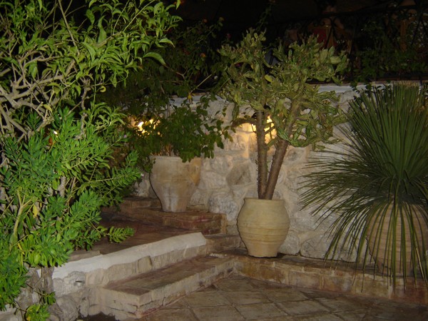GARDEN COURTYARD