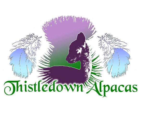 Thistledown Alpacas