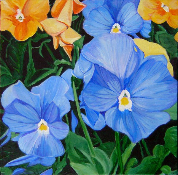 Heaven Blue Pansies