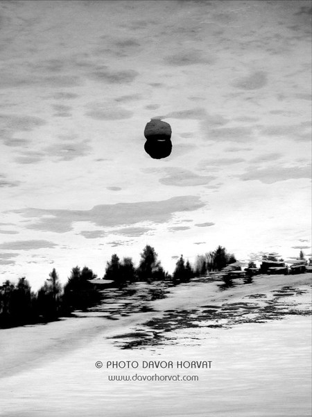 Black moon over forrest