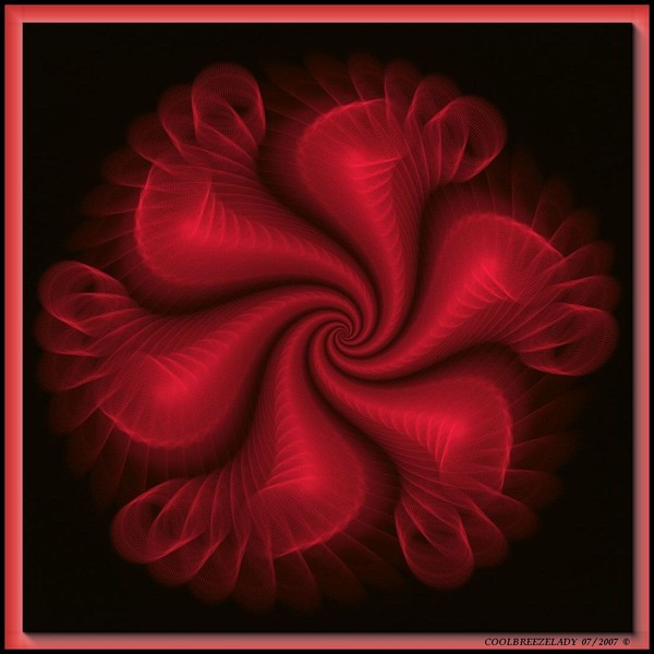 TENDER ILLUSIONS