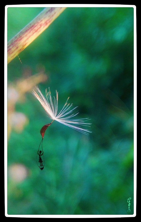 Girl Parachutist