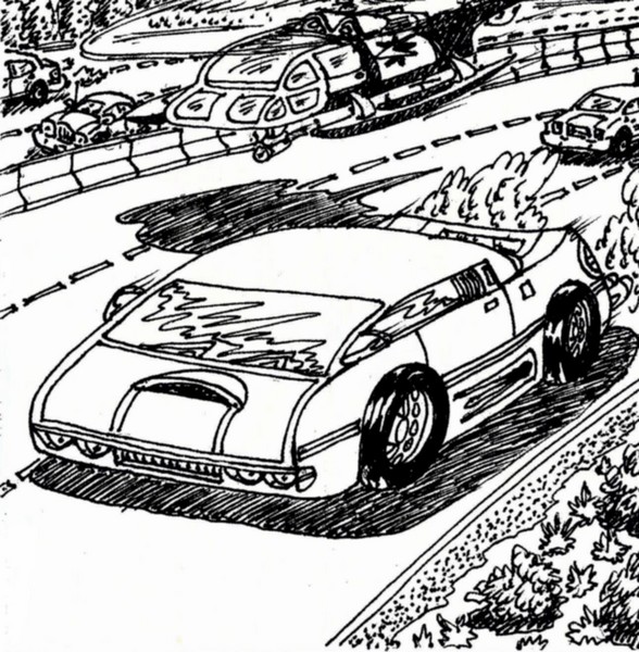 Wrongway Chase