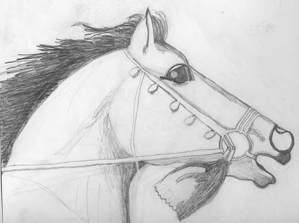 Godolphin Arabian