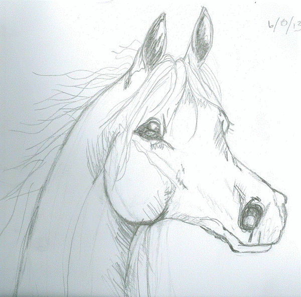 Baby Arabian