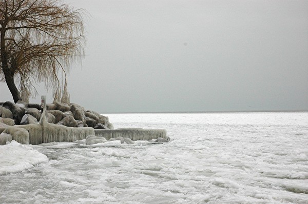 Ice Land
