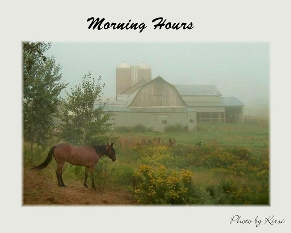 morning hours