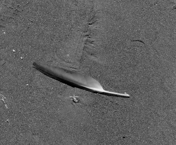 Left Behind