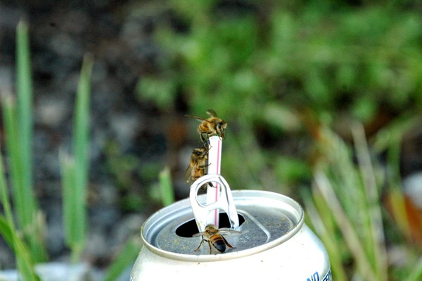 Taking a Drink