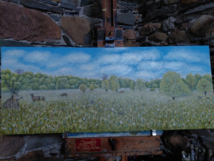 A Scottish meadow