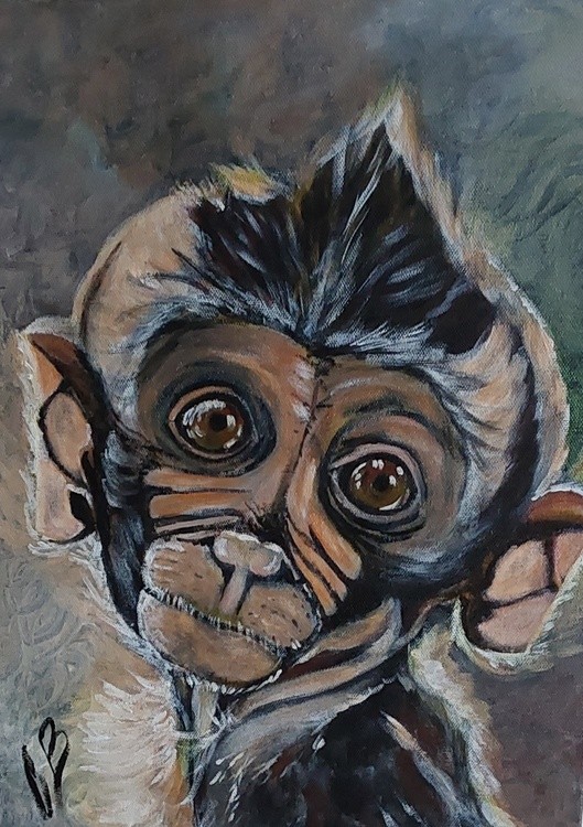 Baby Monkey