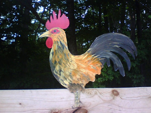 Becky's Rooster