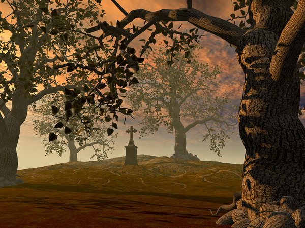 Alone at Sunset