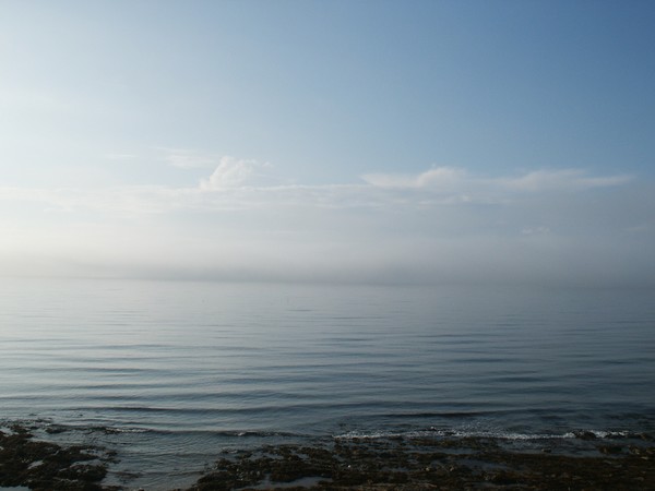 Misty Blue