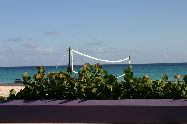 Volley