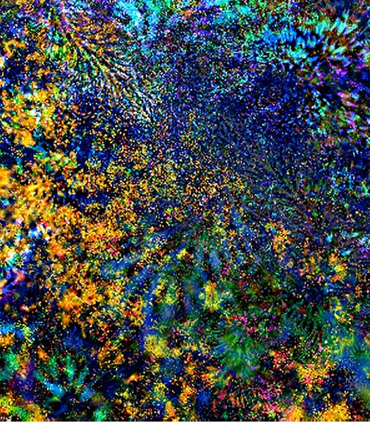 Late Autumn Stroll    v.2