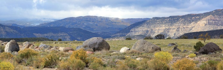 Blue Road Utah