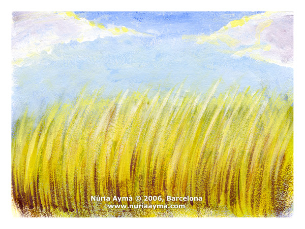 Field of wheat