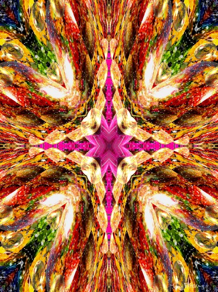 Cosmos Cross