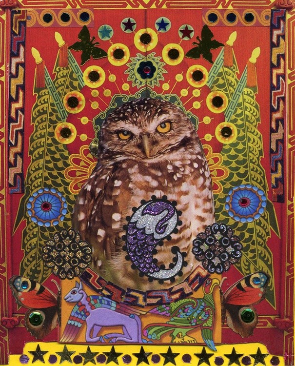 What a Hoot!