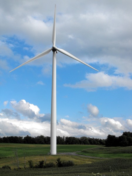 Madison Windmill