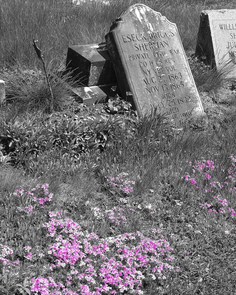 Color in Black and White Cemetery Pic