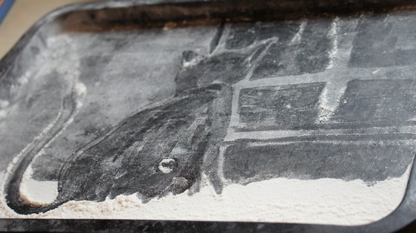 Ephemeral Flour Cat