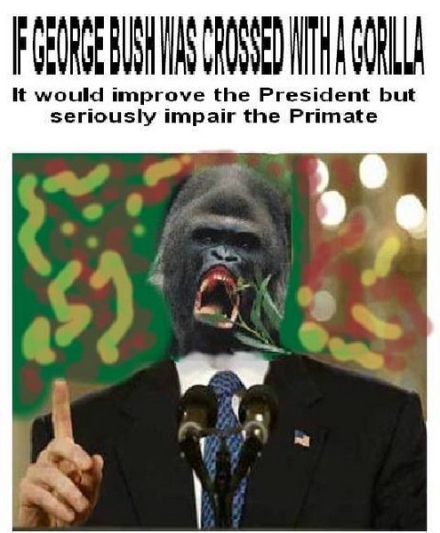 Gorilla in the Bush
