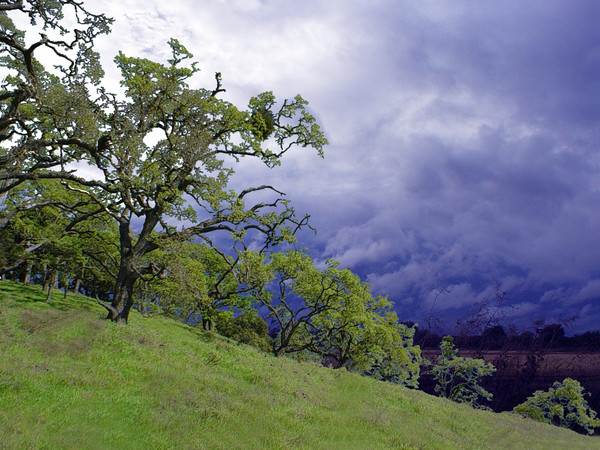 hillside storm...