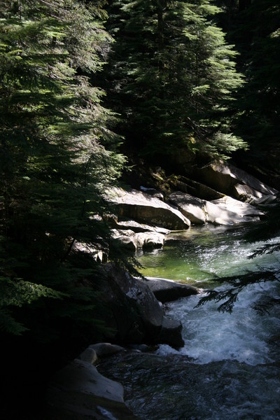 Denny Creek Trail