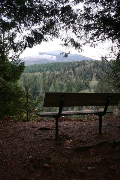 The Bench