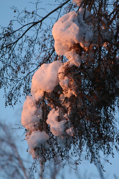Fire Snow