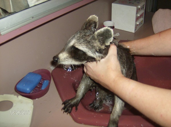 Bath Time