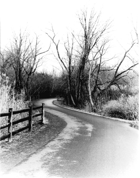 Country Road